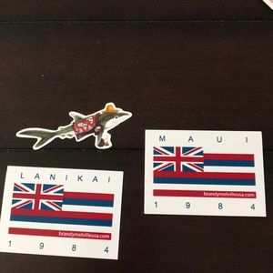 Brandy Melville stickers